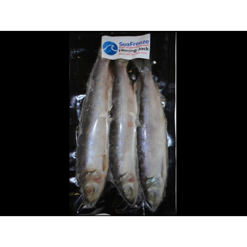 Sardines - 10 Packets - Sea/Pike Fishing Frozen Dead Bait