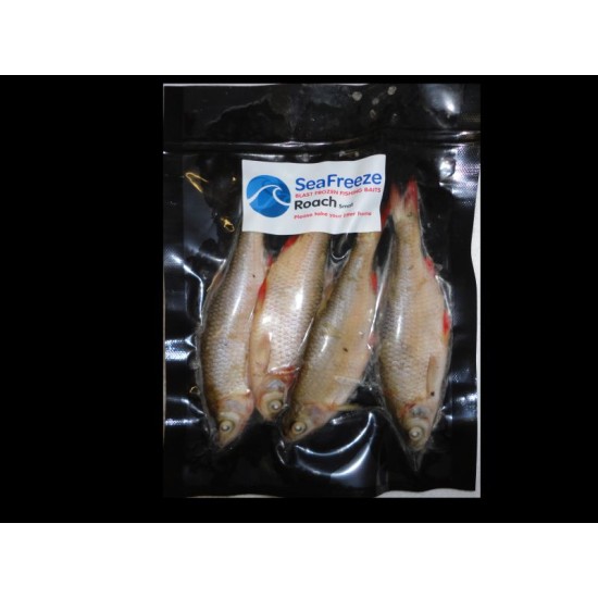 Roach small (4-7 per packet 3-4”approx)