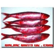 Sardines Red